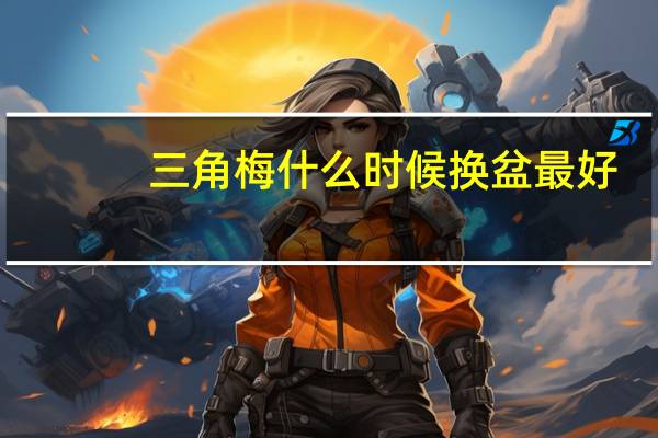 三角梅什么时候换盆最好