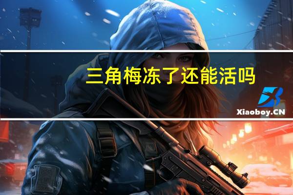 三角梅冻了还能活吗