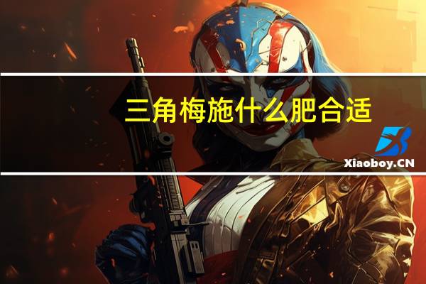 三角梅施什么肥合适