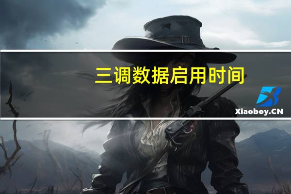 三调数据启用时间