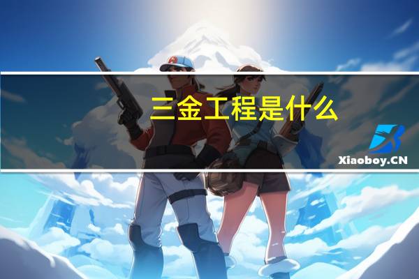 三金工程是什么