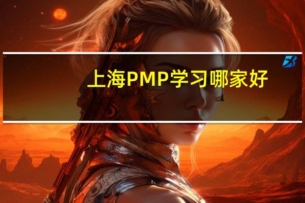 上海PMP学习哪家好