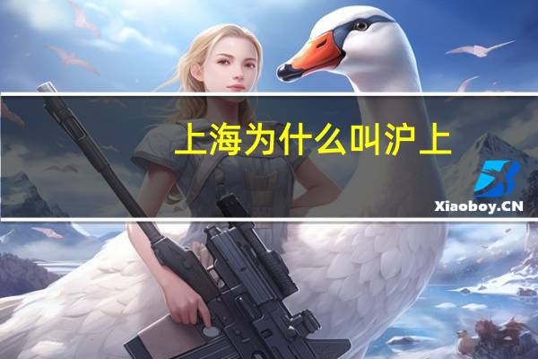 上海为什么叫沪上