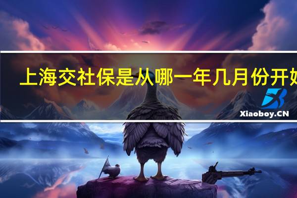 上海交社保是从哪一年几月份开始的