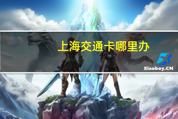 上海交通卡哪里办