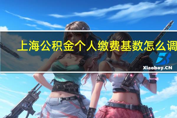 上海公积金个人缴费基数怎么调整