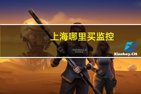 上海 哪里买监控