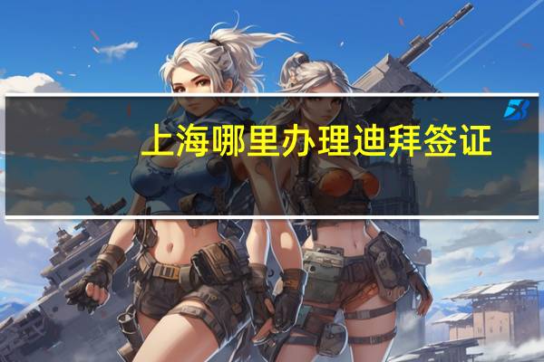 上海哪里办理迪拜签证(办理去迪拜的签证)