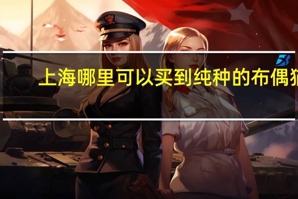 上海哪里可以买到纯种的布偶猫