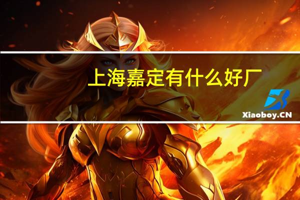 上海嘉定有什么好厂