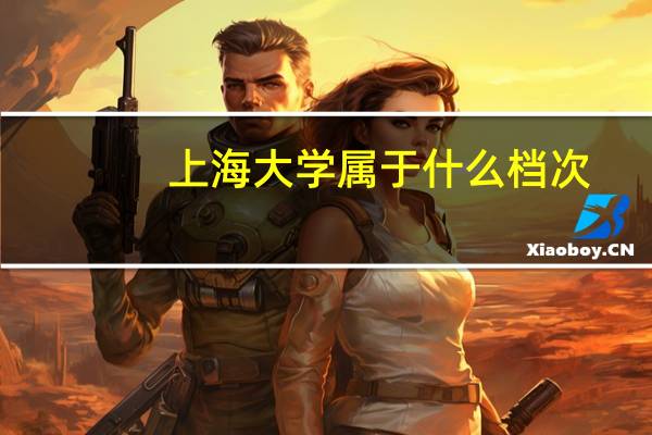 上海大学属于什么档次