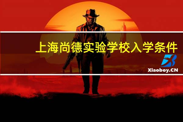 上海尚德实验学校入学条件