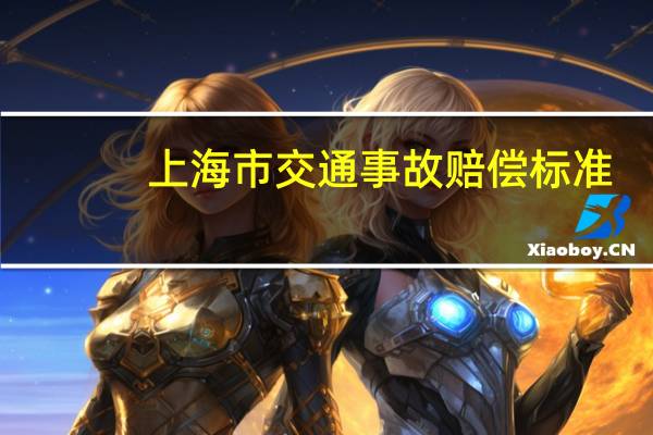 上海市交通事故赔偿标准