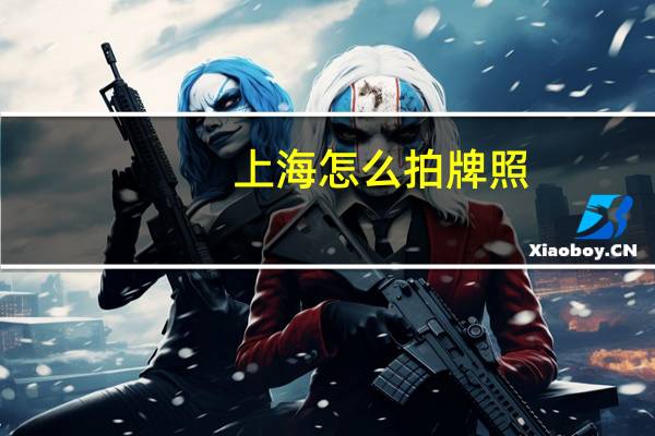 上海怎么拍牌照
