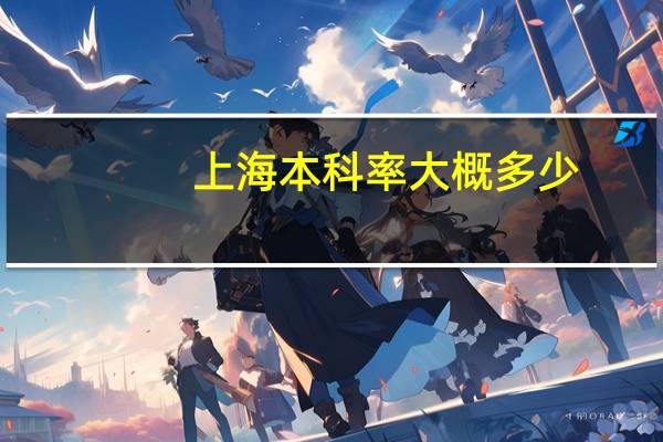 上海本科率大概多少
