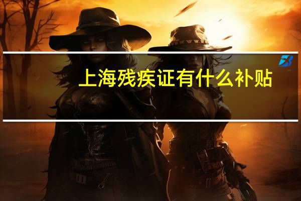 上海残疾证有什么补贴