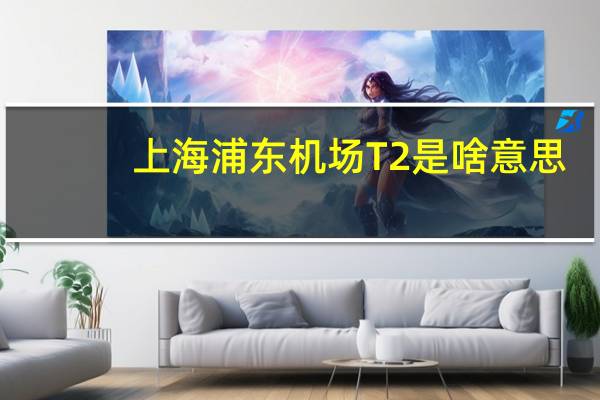 上海浦东机场T2是啥意思