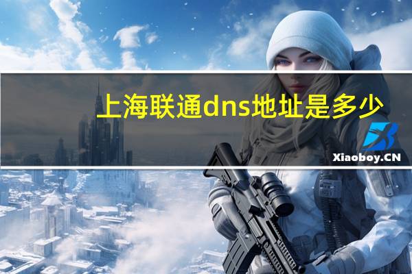 上海联通dns地址是多少