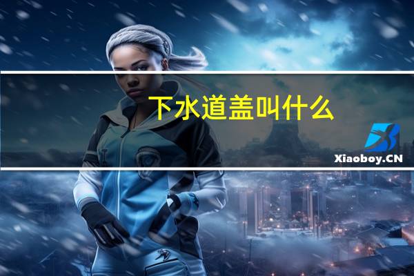 下水道盖叫什么