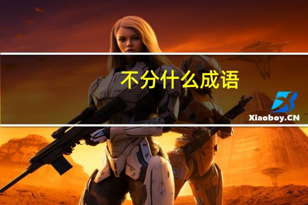 不分什么成语