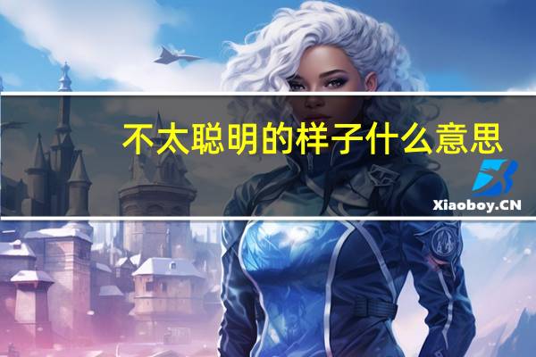 不太聪明的样子什么意思