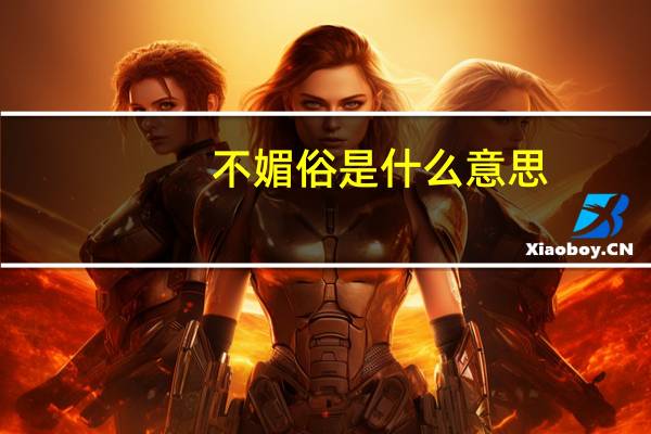 不媚俗是什么意思