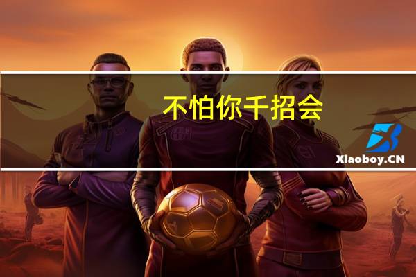不怕你千招会,但怕你一招精,是什么意思