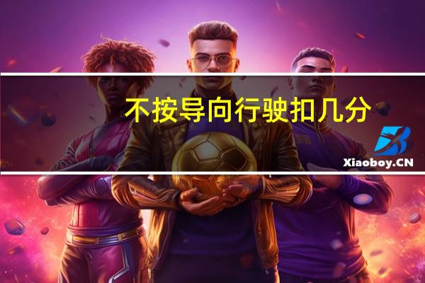 不按导向行驶扣几分