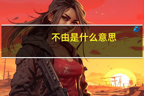 不由是什么意思