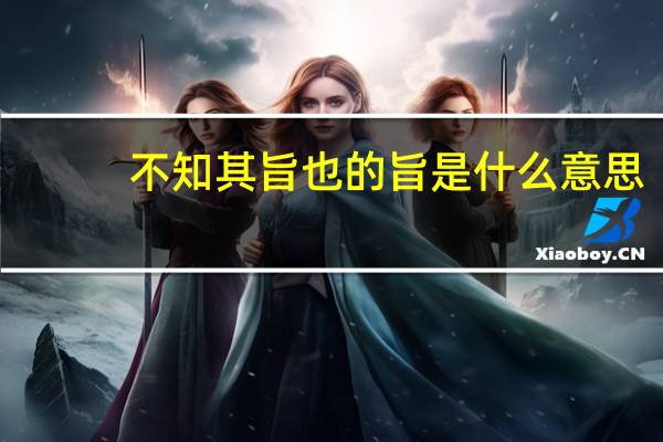 不知其旨也的旨是什么意思