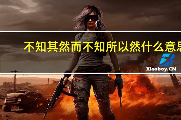 不知其然而不知所以然什么意思