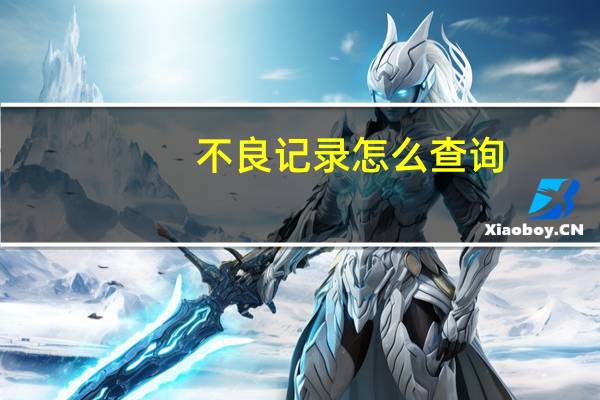 不良记录怎么查询