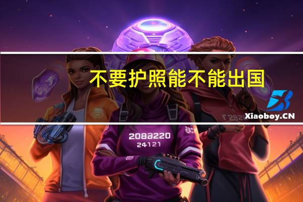 不要护照能不能出国