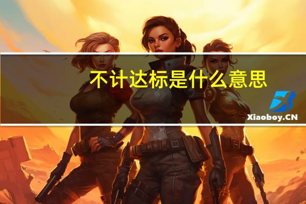 不计达标是什么意思