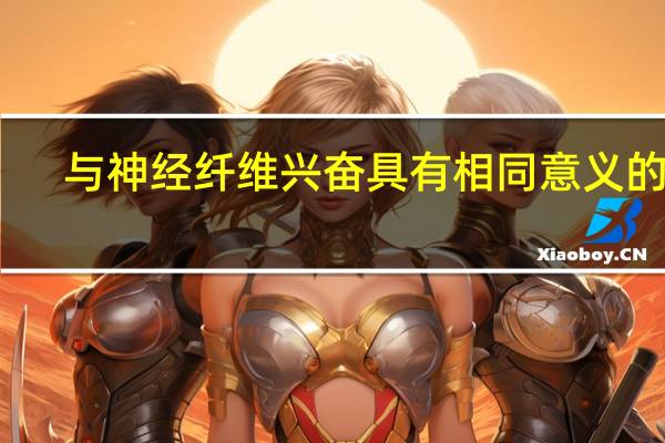 与神经纤维兴奋具有相同意义的是