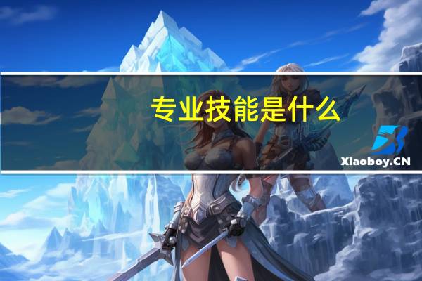 专业技能是什么