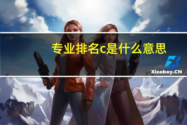 专业排名c 是什么 意思
