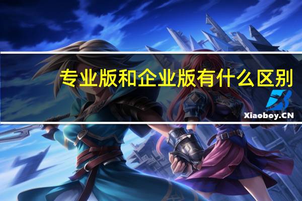 专业版和企业版有什么区别