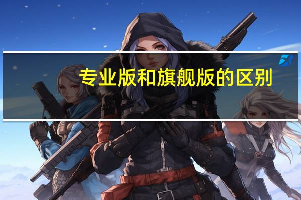 专业版和旗舰版的区别