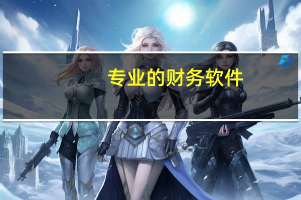 专业的财务软件
