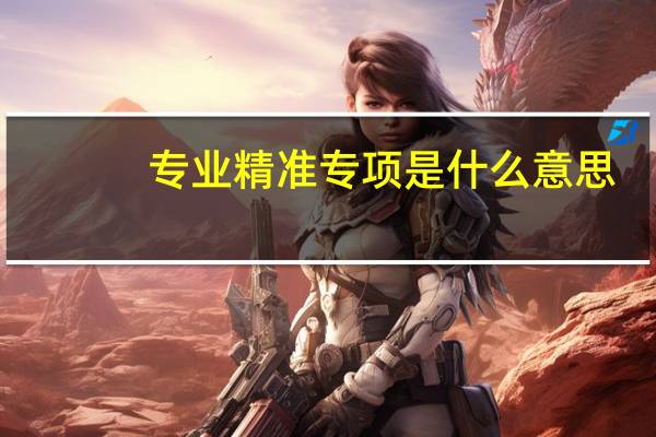 专业精准专项是什么意思