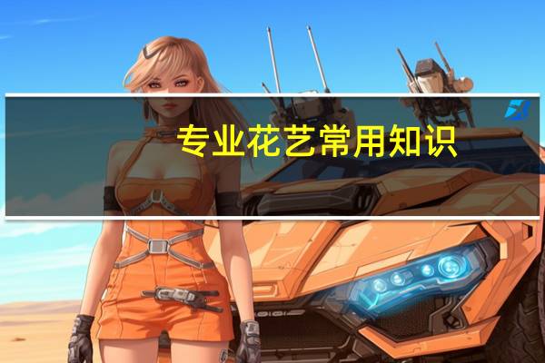 专业花艺常用知识
