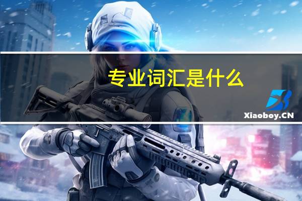 专业词汇是什么