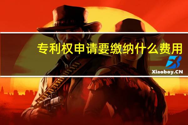 专利权申请要缴纳什么费用