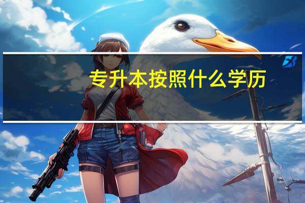 专升本按照什么学历