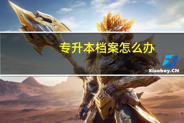 专升本档案怎么办