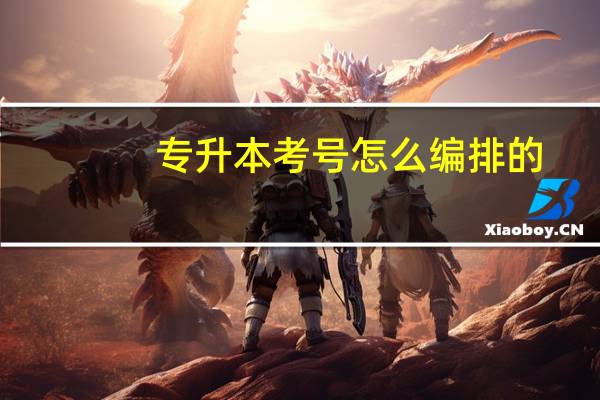 专升本考号怎么编排的