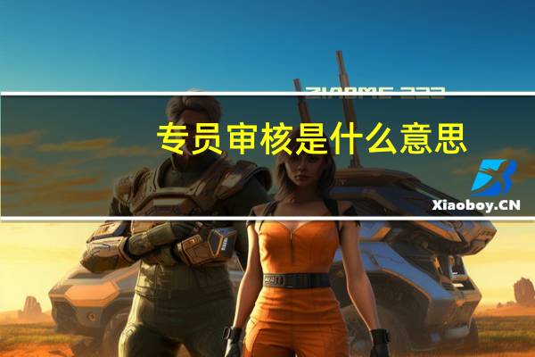 专员审核是什么意思