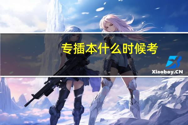 专插本什么时候考