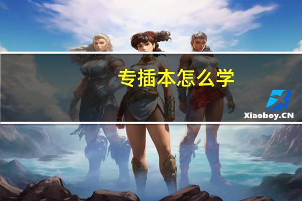 专插本怎么学